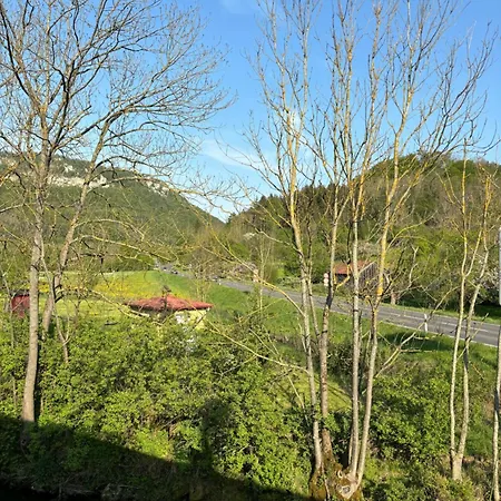 Vidi Am-bach *