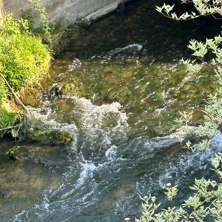 Vidi Am-bach Apartament *